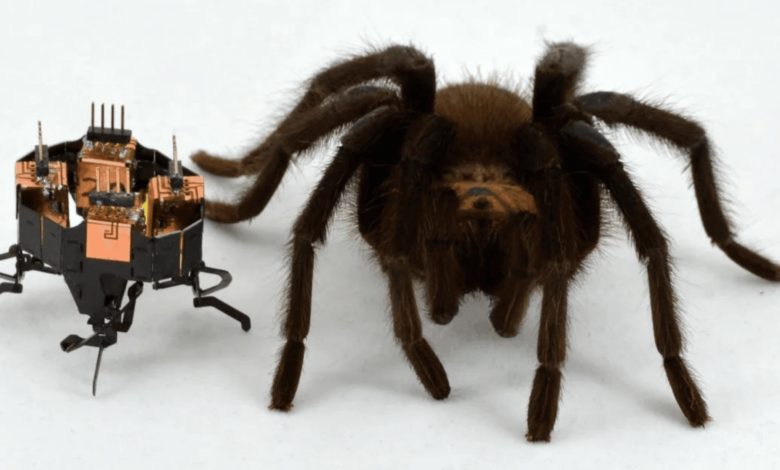 Why Can’t Robots Outrun The Fastest Animals? Why Can’t Robots Outrun The Fastest Animals?
