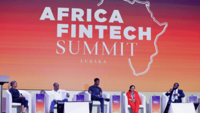 China’s Fintech Footprint in Africa