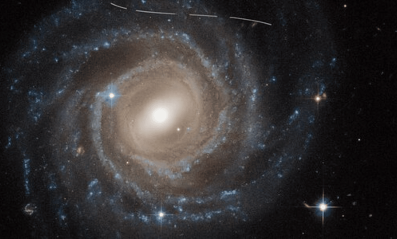AI Used to Find More Than 1,000 New Solar System Objects AI Used to Find More Than 1,000 New Solar System Objects