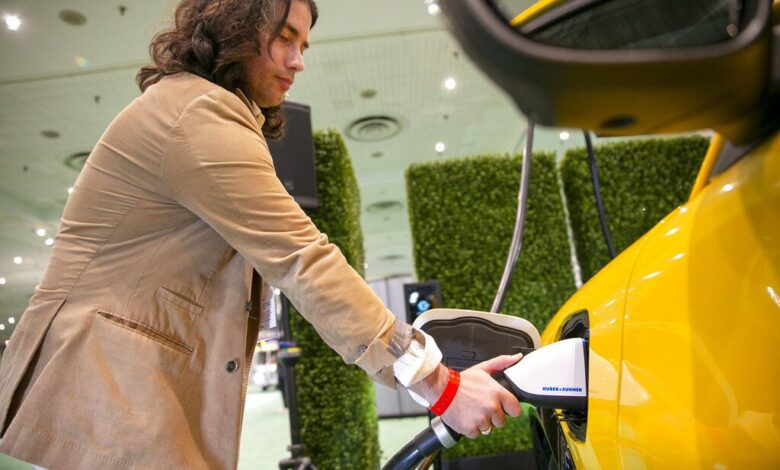 Electric vehicle charging company to release electricity ‘trees’ Electric vehicle charging company to release electricity ‘trees’