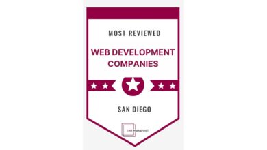 Tiny Frog Technologies Named a Top B2B Website Development Partner