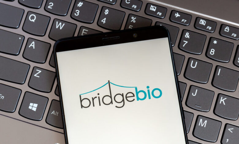 BridgeBio spins out cancer company to concentrate on heart drug BridgeBio spins out cancer company to concentrate on heart drug