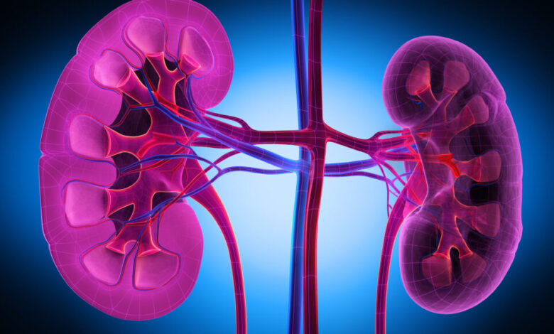 Asahi Kasei to buy Calliditas, picking up kidney disease drug Asahi Kasei to buy Calliditas, picking up kidney disease drug