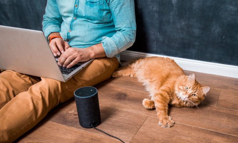 When Will Amazon Start the AI Conversation? When Will Amazon Start the AI Conversation?