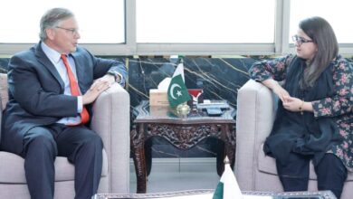 Pakistan, US agree to boost cooperation in IT, Telecom sector