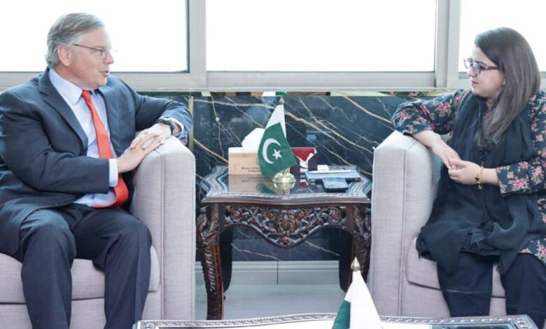 Pakistan, US agree to boost cooperation in IT, Telecom sector Pakistan, US agree to boost cooperation in IT, Telecom sector