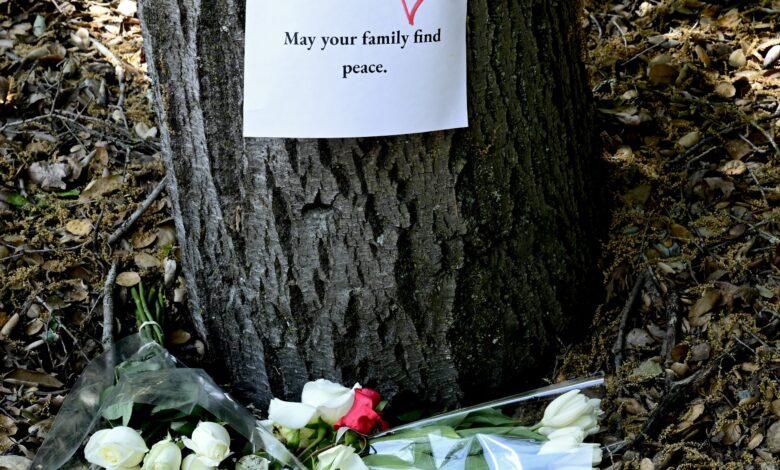 Could electric vehicle issues have played a role in crash that killed family of four? Could electric vehicle issues have played a role in crash that killed family of four?