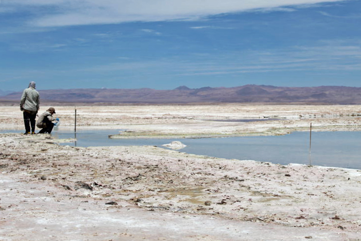 Collecting water samples in the Atacama salt flats.