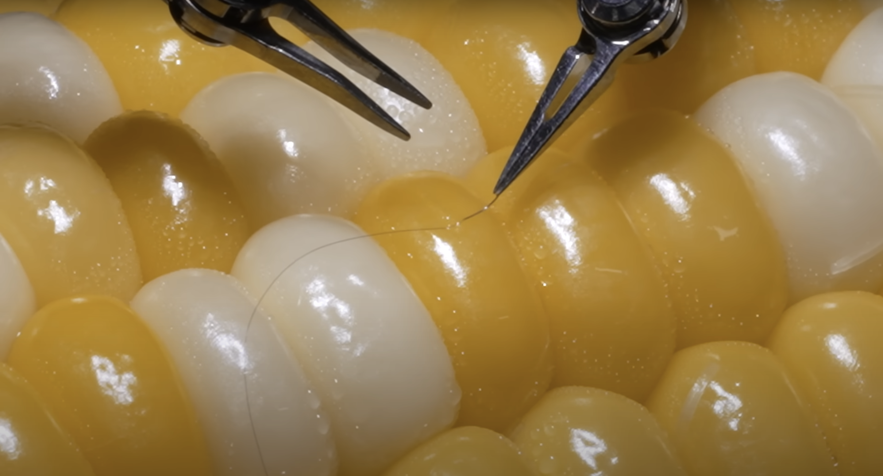 Corn Kernel Microsurgery