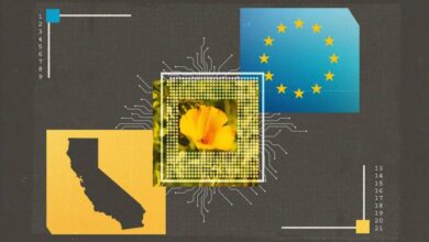 How California and the EU Work Together to Regulate Artificial Intelligence