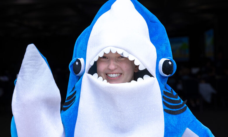 The jaws of entrepreneurship (Young Sharks photo gallery) The jaws of entrepreneurship (Young Sharks photo gallery)