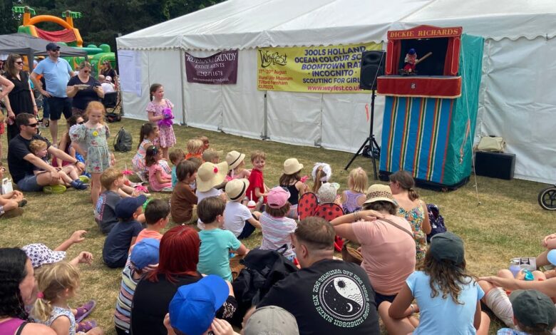 Fayre will host Planes, Games and Automobiles – Farnham Herald