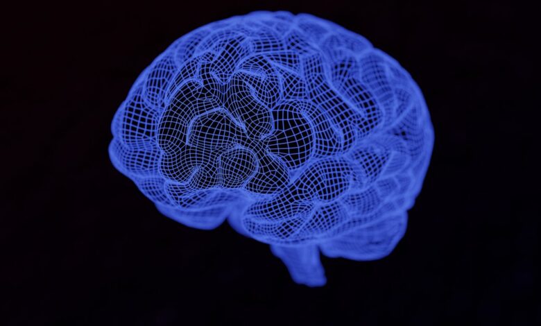 Artificial Intelligence Is a ‘Black Box.’ Maybe Not For Long Artificial Intelligence Is a ‘Black Box.’ Maybe Not For Long
