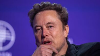 Tesla CEO Elon Musk predicts jobs will become hobbies thanks to AI