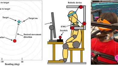 Cable-Driven Robotic Platform for Natural Head-Neck Movements