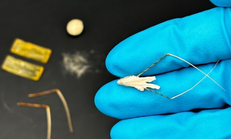 HybriBot as a Biodegradable Vector for Reforestation HybriBot as a Biodegradable Vector for Reforestation