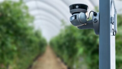 Low-Cost Robotic Camera for Greenhouse Plant Monitoring