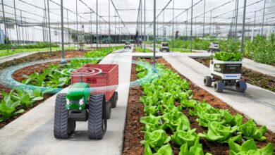 Robotics Transforms Greenhouse Horticulture