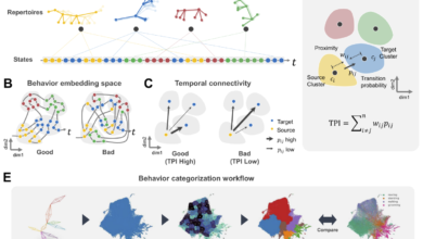 AI Tool “SUBTLE” Deciphers Complex Animal Movement Patterns