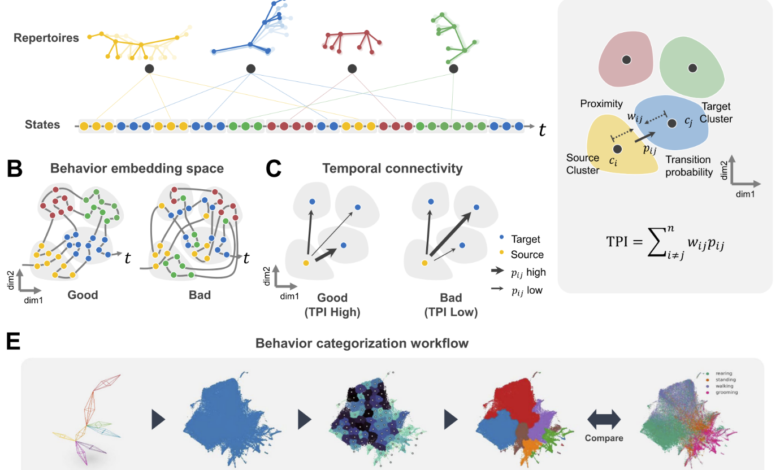 AI Tool “SUBTLE” Deciphers Complex Animal Movement Patterns AI Tool “SUBTLE” Deciphers Complex Animal Movement Patterns