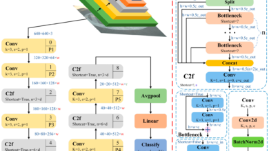 Advanced AI Model Elevates Road Pattern Recognition