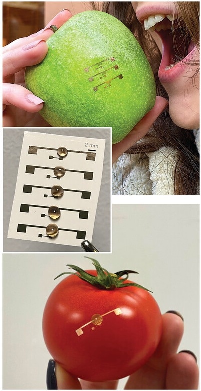 This is a digital photograph of honey-gated OFETs (HGOFETs) (in the middle), which have been transferred onto different food items: an apple (top) and tomato (bottom). A. S. Sharova, M. Caironi, Sweet Electronics: Honey-Gated Complementary Organic Transistors and Circuits Operating in Air. Adv. Mater. 2021, 33, 2103183. DOI: 10.1002/adma.202103183, https://onlinelibrary.wiley.com/doi/10.1002/adma.202103183