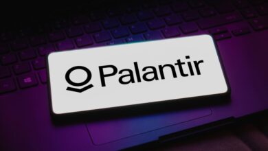 Palantir Is The ‘Messi’ Of Artificial Intelligence, Says Dan Ives: ‘Most Underestimated AI Play’ – ARK Innovation ETF (ARCA:ARKK), Palantir Technologies (NYSE:PLTR)