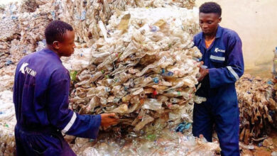 Three entrepreneurs in the recycling sector