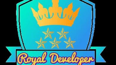 Royal Developer™ Emerges as the Best Web Development Company