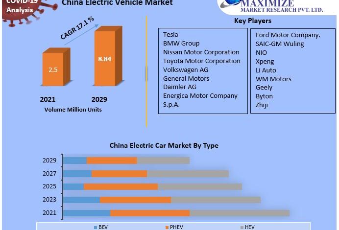 China Electric Vehicle Market 2021 Development Status, Share, China Electric Vehicle Market 2021 Development Status, Share,