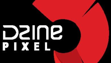 Dzinepixel Webstudios Launches Affordable Website