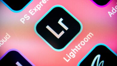 Adobe’s AI-Powered Generative Remove Feature in Lightroom Erases Unsightly Objects in Seconds