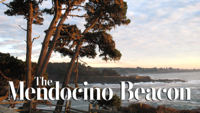 Artificial Intelligence not possible without wealth of human knowledge – The Mendocino Beacon