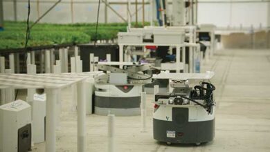 Autonomous mobile robots (AMRs) offer modern solution to challenges of traditional farming