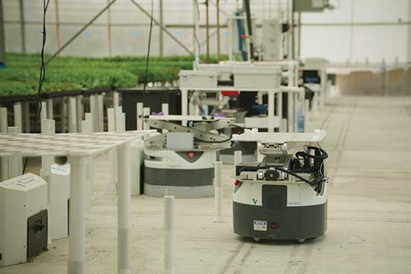 Autonomous mobile robots (AMRs) offer modern solution to challenges of traditional farming Autonomous mobile robots (AMRs) offer modern solution to challenges of traditional farming