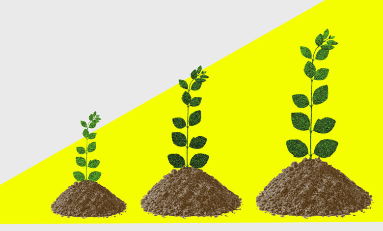 Scaling a Midsize Startup Scaling a Midsize Startup