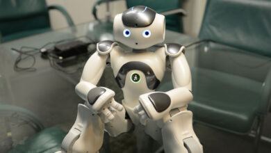 Young children are more likely to trust information from robots over humans