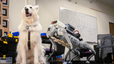 UMass Amherst: Optimizing Guide-Dog Robots Through Listening to the Visually Impaired – India Education | Latest Education News | Global Educational News