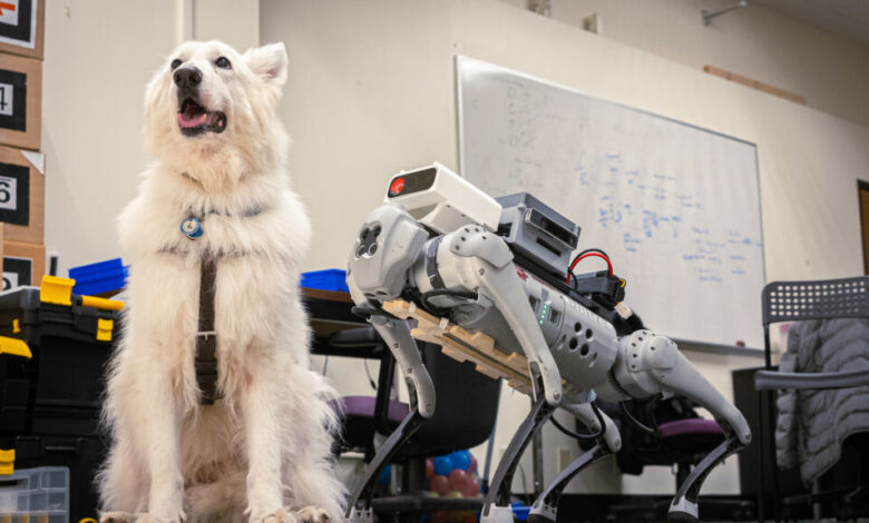 UMass Amherst: Optimizing Guide-Dog Robots Through Listening to the Visually Impaired – India Education | Latest Education News | Global Educational News