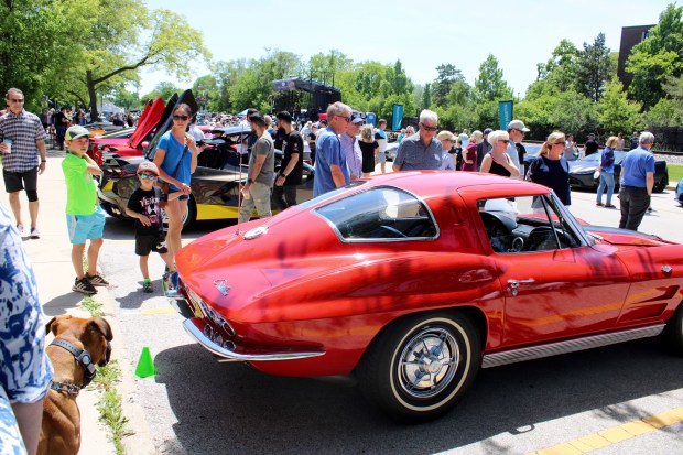 The Glenview Luxury Imports Charity Exotic Car Show for The 100 Club of Illinois on Sunday, a showcase of 58 of the rarest of automobiles in the world, in an event honoring our first responders. (Gina Grillo)