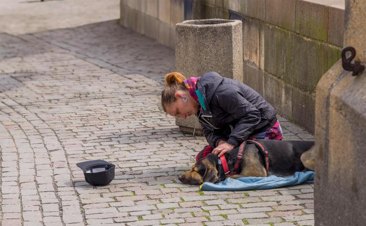 Woman with her dog on the King Charles Bridge in Prague with onlookers removed with Generative Remove in Adobe Lightroom