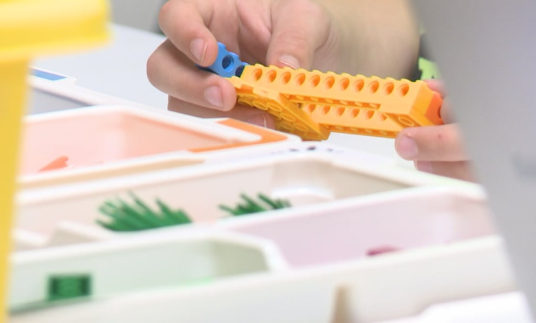 Embe hosting robotics and STEM summer camps Embe hosting robotics and STEM summer camps