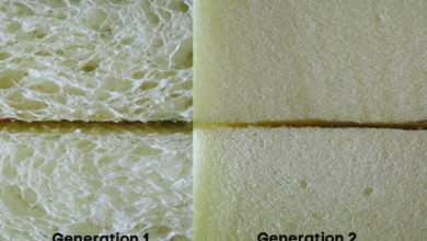 Apple And Rise Develop ‘Unique Bio-Based Foam’ For Packaging Robotics & Automation News