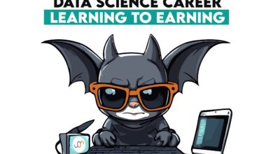 Navigating Your Data Science Career: From Learning to Earning