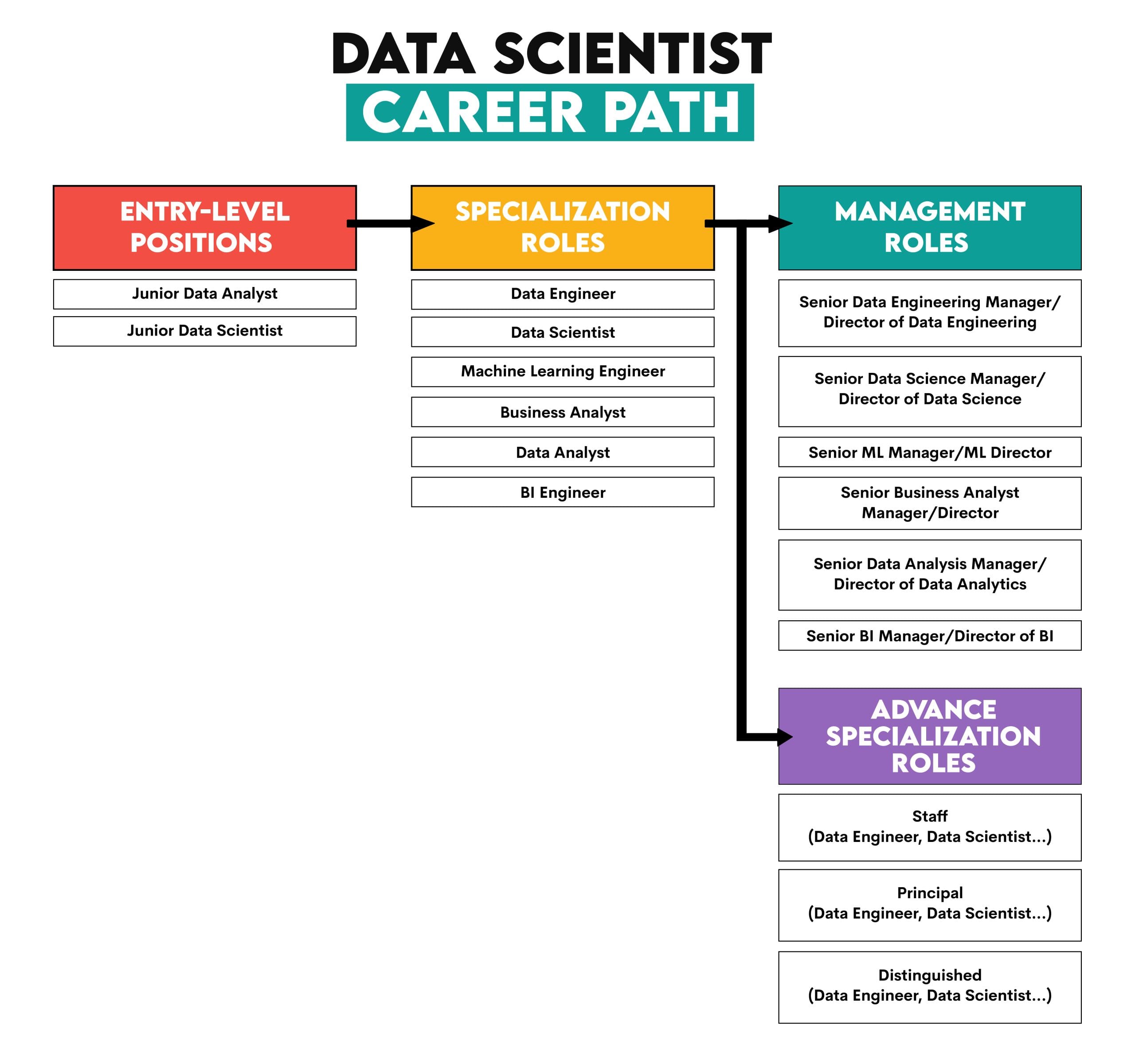 Navigating Your Data Science Career