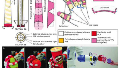 A Bioinspired Multimaterial Soft Robotic Hand