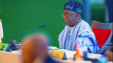 Tinubu Suspended Cybersecurity Levy Implementation To Ease Economic Hardship, Says Presidency 