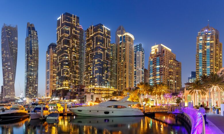 US and UAE Plan AI Partnerships US and UAE Plan AI Partnerships