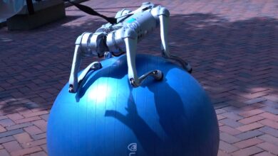 Nvidia’s Eureka helps robot dog perfect yoga ball balance