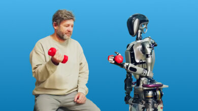 Can robots have a place in the therapeutic world?